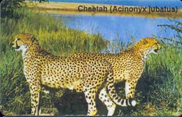 Namibia - Namibia's Big Cats, Animal, Cheetah - Acinonyx Jubatus (NAEI - Dashed Zero), Used - Namibia