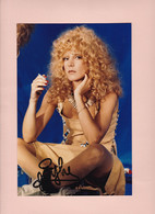 SYLVIE VARTAN Photo Couleur Format Environ 15,8 X 23,8 CM - Célébrités