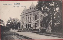 Konings Hoyckt Koningshooikt Lier Le Chateau Het Kasteel ZELDZAAM Geanimeerd TOPKAART 1912 - Lier