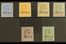 1902 Ed VII Set Complete (less 1d) Overprinted "Specimen", SG 63s/70s, Very Fine And Fresh Mint. (6 Stamps) For More Ima - Sonstige & Ohne Zuordnung
