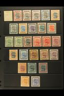 1907-22 MINT COLLECTION On A Stock Page. Includes 1907-10 Set (1c With Reversed Watermark), 1908-22 Set To $1 With Both  - Brunei (...-1984)