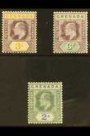 1904 - 06 3d, 6d And 2s Values Wmk MCA On Chalk Surface Aper, SG 71a, 72a, 74a, Very Fine Mint. (3 Stamps) For More Imag - Granada (...-1974)