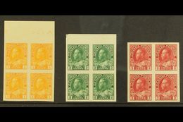 1922-31 1c Chrome, 2c Deep Green And 3c Carmine In Imperf Pairs, SG 259/61, As Very Fine  Mint Blocks Of 4, 2 NHM, 2 Tra - Mauricio (...-1967)