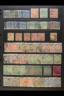 BRITISH SOUTH AFRICA COMPANY 1892-1908 USED ACCUMULATION Presented Chronologically On Stock Pages. A Lightly Duplicated  - Altri & Non Classificati