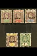 1902 - 3 Ed VII Set To 1s, Ovptd "Specimen", SG 58s/62s, Fine Mint, 1s Slight Colour Bleed At Top. (5 Stamps) For More I - St.Lucia (...-1978)