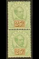 1888-95 25c Green And Brown, SG 18, Superb Mint VERTICAL PAIR, The Lower Stamp Never Hinged. (2 Stamps) For More Images, - Sarawak (...-1963)