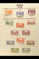 1937-84 SUPERB MINT COLLECTION WITH COMPLETE DEFINITIVE SETS A Beautifully Written Up Collection On Pages, Includes 1938 - Sierra Leona (...-1960)