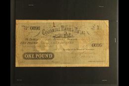 NATAL 1862 £1 COLONIAL BANK OF NATAL Banknote, Intact, Soiled, Folded & Pressed!. Scarce For More Images, Please Visit H - Ohne Zuordnung