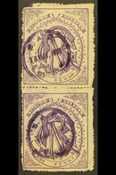 NATAL NATAL GOVERNMENT RAILWAY 1880 1d Violet Used Vertical Pair With Circular Violet Cancels Of 16th May 1911. Faults A - Sin Clasificación