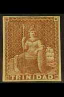 1851-55 (1d) Brownish Red Imperf (Blued Paper), SG 7, Very Fine Mint With 4 Clear Margins For More Images, Please Visit  - Trinidad Y Tobago