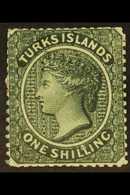 1881 1s Slate-green, Wmk Crown CC (sideways), SG 52, Mint. For More Images, Please Visit Http://www.sandafayre.com/itemd - Turks And Caicos