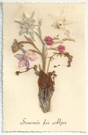 Herbier - Souvenir Des Alpes - Savoie - Blumen