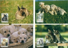 New Zealand 1999  CM Maximum   Pets  Cat  Dog Rabbit - FDC