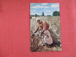 Black Americana -- Mammy In The Cotton Patch ===== Ref 2951 - Black Americana