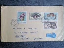 Lettre Tchécoslovaquie Par Avion Thèmes Timbres Animaux Rongeurs écureuil Souris Chat Et Fleurs Bratislava - Cartas & Documentos