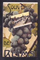 Delcampe - F1-42 SOUVENIR DE REIMS - Ruoms