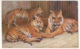 Tigers Tigres  Signée M. Mac N.W. Tuck Oilette  9054 - Tigres