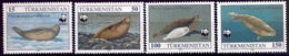 TURKMENISTAN 1993 (Yvert 40-43) - WWF Phoque (MNH) Sans Trace De Charnière - 030 - Turkmenistan