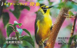 Télécarte Japon / 110-016 - Animal - OISEAU - FAUVETTE Japonaise - ZOSTEROPS BIRD Japan Phonecard - VOGEL - 4452 - Pájaros Cantores (Passeri)