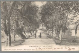 CPA 88 - Lamarche - Allée Des Tilleuls - Lamarche