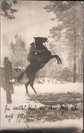 ! Alte Fotokarte, Photo, Wildes Pferd, Horse, Cheval, 1917, Landw. Inf. Regt. Nr. 31, 1.Weltkrieg, Militaria, Allenstein - Horses