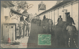 08428 Französisch-Indochina: 1906. Picture Post Card Of 'Elephant Parade' Addressed To Krulie, Cambodia Be - Briefe U. Dokumente