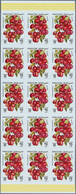 08873 Irak: 1980. Fruits. Set Of 5 Values In IMPERFORATE Part Sheets Of 15. The Set Is Gummed, In Issued C - Iraq