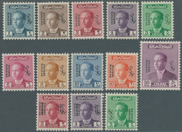 08888 Irak - Dienstmarken: 1958/1959, King Faisal II. Official Stamps With Bilingual Opt. Complete Set Of - Iraq