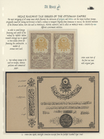 09711 Saudi-Arabien: 1904, Album Page With Mint Pair Hejaz Railway Revenues 1 Ghr. And Donation Receipt Ue - Saudi-Arabien