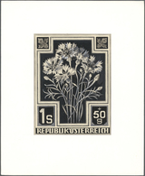 10230 Thematik: Flora, Botanik / Flora, Botany, Bloom: 1948, Austria. Artist's Drawing For An Unissued 1.5 - Altri & Non Classificati