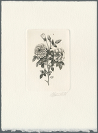 10251B Thematik: Flora-Rosen / Flora-roses: 1989, Belgium. Epreuve D'artiste Signée In Black For The Stamp - Rosen