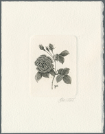 10251C Thematik: Flora-Rosen / Flora-roses: 1990, Belgium. Epreuve D'artiste Signée In Black For The Stamp - Rosen