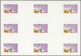 10781 Thematik: Raumfahrt / Astronautics: 1972. Sharjah. Progressive Proof (6 Phases) In Complete Sheets C - Autres & Non Classés