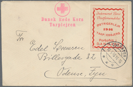 10867 Thematik: Rotes Kreuz / Red Cross: 1946 Dänemark Roter L2 "Dansk Rode Kors Tarplejren" Mit Abb. "Rot - Croce Rossa