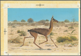 11022 Thematik: Tiere, Fauna / Animals, Fauna: 1982, Bahrain. Artist's Drawing For The First 100f Value Of - Altri & Non Classificati