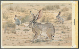 11025 Thematik: Tiere, Fauna / Animals, Fauna: 1982, Bahrain. Artist's Drawing For The Fourth 100f Value O - Autres & Non Classés