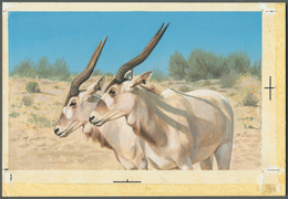11027 Thematik: Tiere, Fauna / Animals, Fauna: 1982, Bahrain. Artist's Drawing For The Sixth 100f Value Of - Altri & Non Classificati