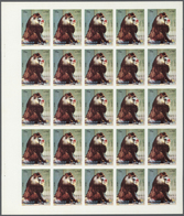 11032 Thematik: Tiere-Affen / Animals-monkeys: 1972. Sharjah. Progressive Proof (5 Phases) In Complete She - Affen