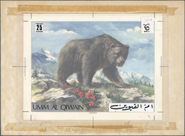 11035 Thematik: Tiere-Bären / Animals-bears: 1971, Umm Al-Qaiwain. Artist's Drawing For The 25dh Value Of - Ours