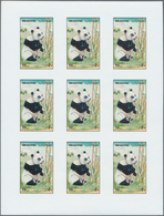 11036 Thematik: Tiere-Bären / Animals-bears: 1990 (ca), Yemen Arab Republic. Not Issued And Not Listed: Se - Orsi