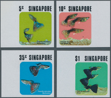 11052 Thematik: Tiere-Fische / Animals-fishes: 1974, Singapore. Complete Set (4 Values) AQUARIUM FISH In I - Pesci