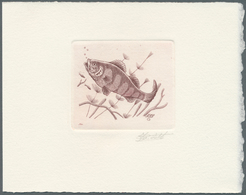 11057A Thematik: Tiere-Fische / Animals-fishes: 1990, Belgium. Epreuve D'artiste Signée In Reddish-brown Fo - Pesci