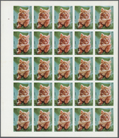 11077 Thematik: Tiere-Katzen / Animals-cats: 1972. Sharjah. Progressive Proof (6 Phases) In Complete Sheet - Gatti