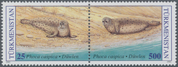 11085 Thematik: Tiere-Meerestiere / Animals-sea Animals: 1993, TURKMENISTAN: Caspic Seal 'Phoca Caspica' S - Meereswelt