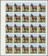 11102 Thematik: Tiere-Pferde / Animals-horses: 1972. Sharjah. Progressive Proof (7 Phases) In Complete She - Cavalli