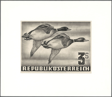 11136 Thematik: Tiere-Vögel / Animals-birds: 1950/1953, Austria. Artist's Drawing For A Non-issued 3s Stam - Sonstige & Ohne Zuordnung