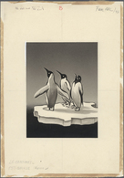 11138 Thematik: Tiere-Vögel / Animals-birds: 1958, Haiti. Artist's Drawing For The 20c Postage Value And 1 - Sonstige & Ohne Zuordnung