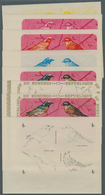 11148 Thematik: Tiere-Vögel / Animals-birds: 1970, Burundi, Phoenicurus Phoenicurus, Prunella Modularis, M - Sonstige & Ohne Zuordnung
