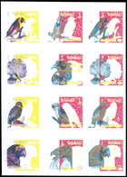 11158 Thematik: Tiere-Vögel / Animals-birds: 1972, Manama: BIRDS - 1 Item; Collective Single Die Proof For - Autres & Non Classés