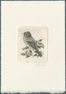 11186A Thematik: Tiere-Vögel / Animals-birds: 1992, Belgium. Epreuve D'artiste Signée In Black For The Stam - Altri & Non Classificati